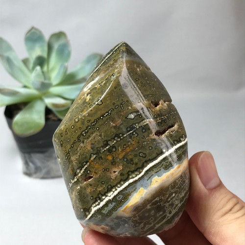 262g top madagascar natural - top,