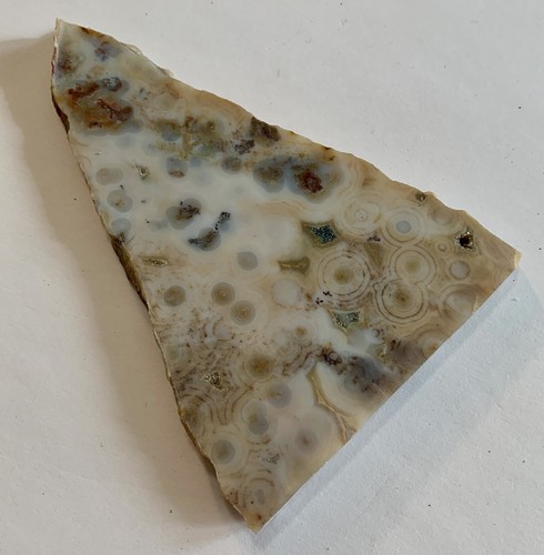 105 ocean jasper slice from - 105.9g,
