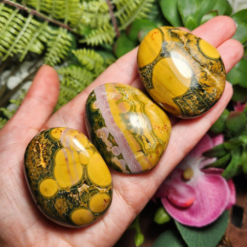 Kabamby ocean jasper - jasper, palm