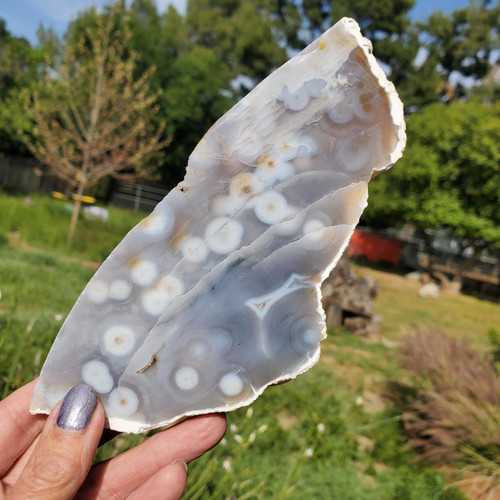 8th vein kambaby ocean - vein, jasper